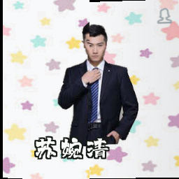 苏婉清